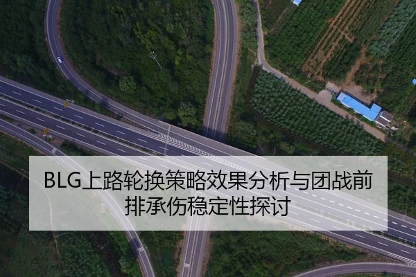BLG上路轮换策略效果分析与团战前排承伤稳定性探讨