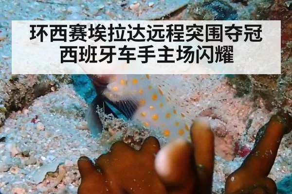 环西赛埃拉达远程突围夺冠 西班牙车手主场闪耀